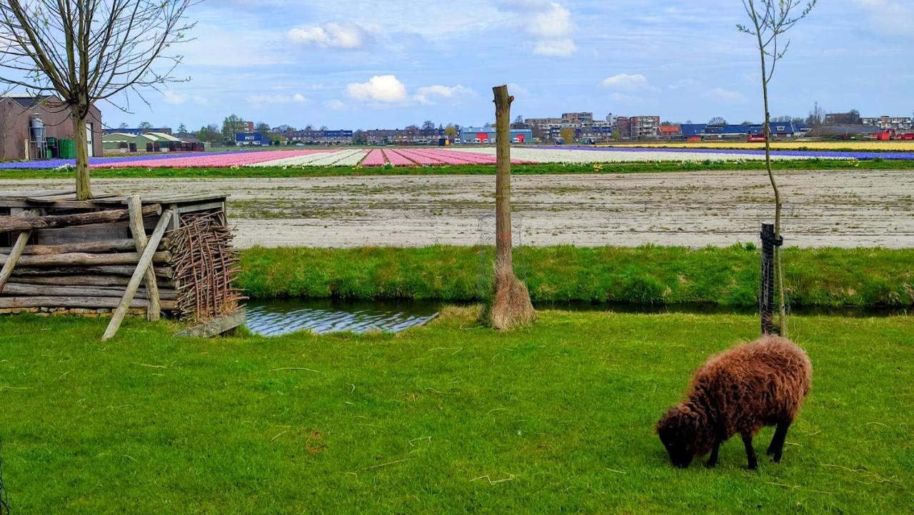 Holiday home Het Dijkstuk *