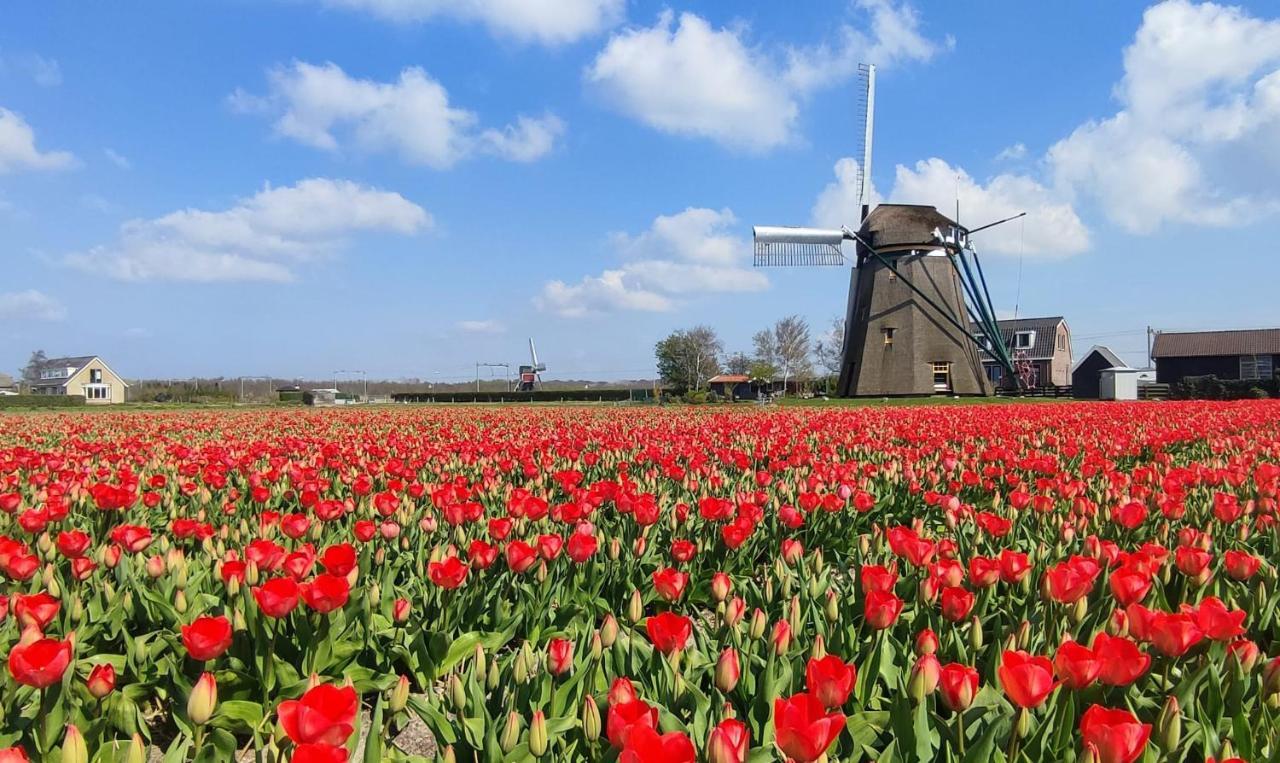 Holiday home Het Dijkstuk Noordwijkerhout